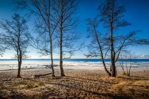 Cold day Stock-Fotos