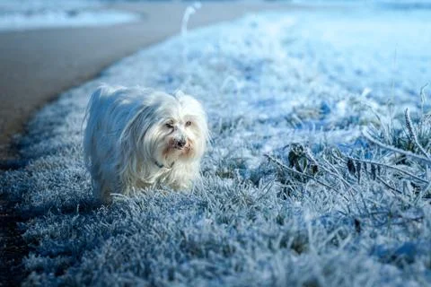 Cold day Stock Photos