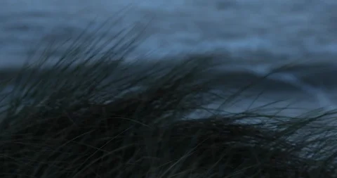 Cold day in seaside Norfolk Stock Footage 99456751