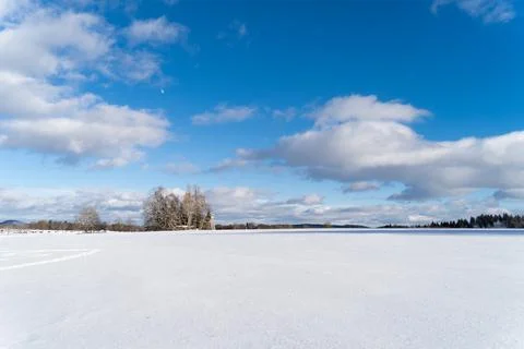 Cold day in winter forest with sky Stock Photos