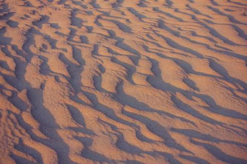 Cold desert evening. Stock Photos