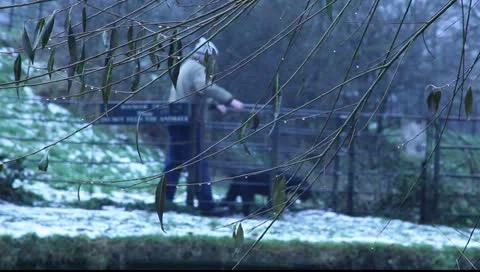 Cold Dog Walker 2 Stock Footage 10830269