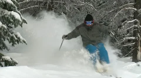 Cold dry powder snow blows up as skier charges through trees Stock Footage