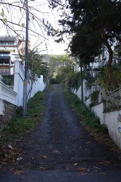 Cold empty street in autumn Stock Photos