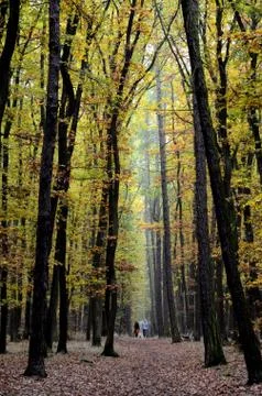 Cold fall afternoon Stock Photos