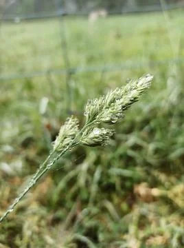 Cold field Stock Photos