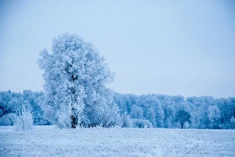 Cold field Foto stock
