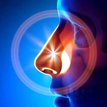 Cold / Flu - Full Nose Stock-Illustration