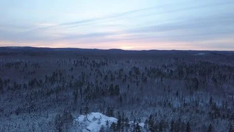 Cold forested landscape at sunset Stock Footage 100128958