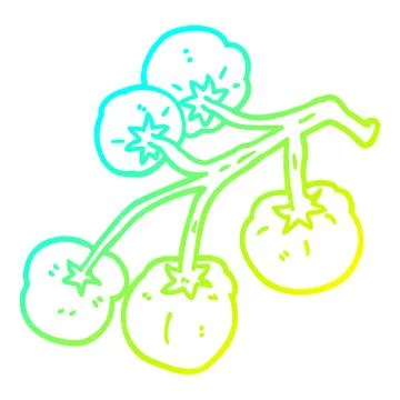 Cold gradient line drawing cartoon tomatoes on vine Stock Illustration