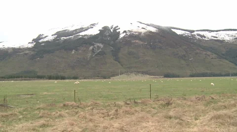 Cold green fields Stock Footage 1805498