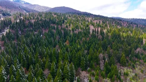 Cold Horizon Stock Footage 307371525