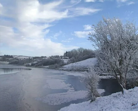 Cold lake Video stock 603431
