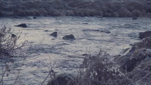 Cold lake at Spring Stock Footage 99043345