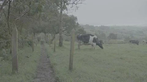 Cold landscape 動画素材 219430903