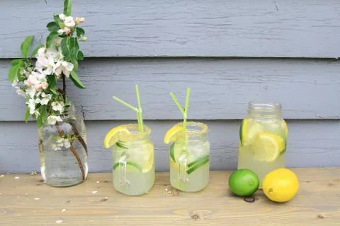 Cold lemonade for the worm days Stock Photos