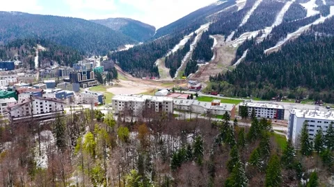 A Cold Majesty Stock Footage 306031562