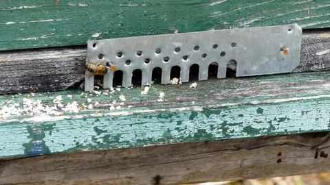 Cold morning at the beehives, Stock-Footage 87908063