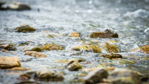 Cold mountain creek runs in the forest Stock Footage 90687657