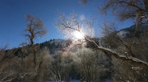 Cold Mountain Dolly Shot 스톡 동영상 33637992