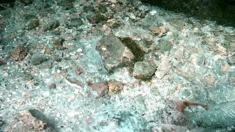 Cold mountain river flows among stones. cold and clear, turquoise river . Video stock 123514016