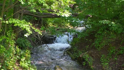 Cold mountain river flows among stones. cold and clear, turquoise river . Video stock 123514151