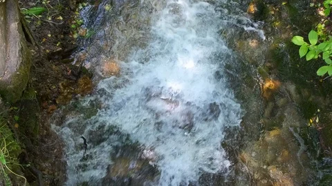 Cold mountain river flows among stones. cold and clear, turquoise river . Video stock 123948076