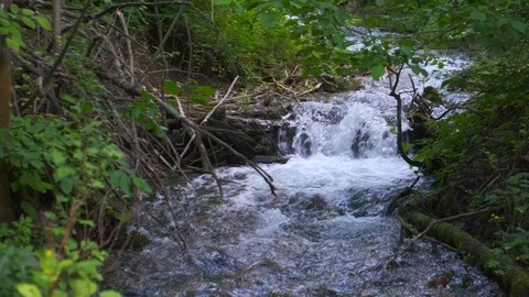 Cold mountain river flows among stones. cold and clear, turquoise river . Video stock 124114839