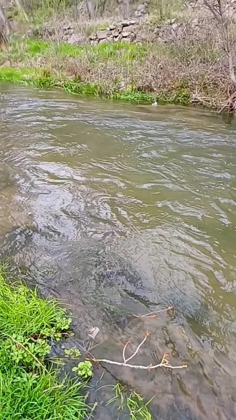 Cold mountain river slow motion. Video stock 246983782