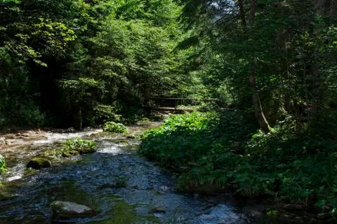 Cold mountain rivers Stock Photos