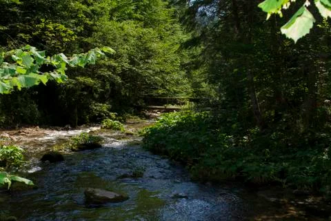 Cold mountain rivers Stock-Fotos