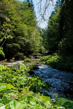 Cold mountain rivers Stock Photos