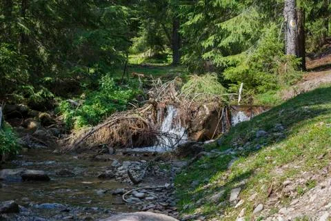 Cold mountain rivers Stock Photos