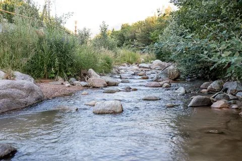 Cold mountain rocky river on the background of trees Stock Photos