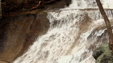 Cold Mountain Stream 11 Stock Footage 48948996