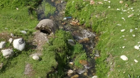 Cold mountain stream among the grass Stock Footage 278994378