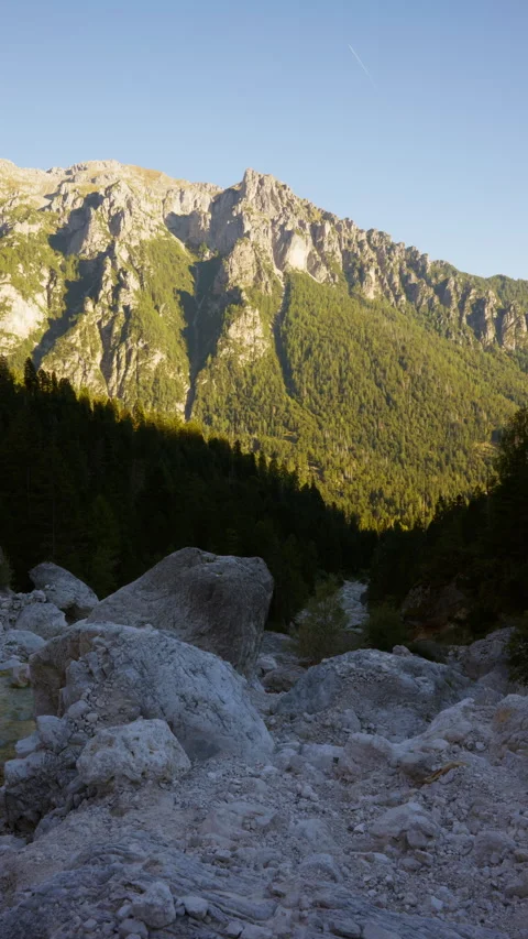 Cold Mountain Stream Cutting Through Dark Forest Below Sunlit Italian Peak Stock Footage 347073308