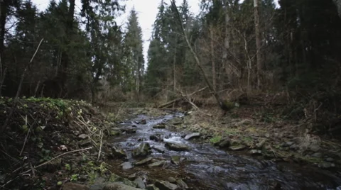 Cold mountain stream flowing over rocks between tall trees and mountains Stock Footage 61289416