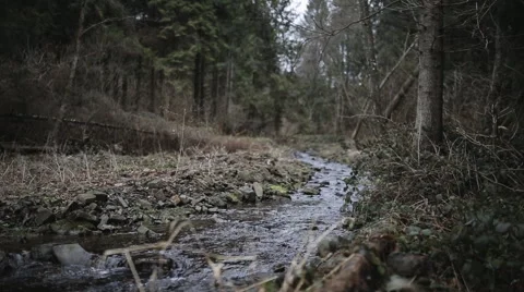 Cold mountain stream flowing over rocks between tall trees and mountains Stock Footage 61289440