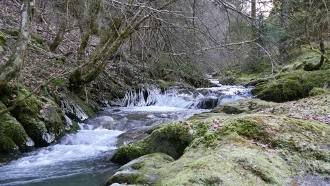 Cold mountain stream flowing over rocks in forest Video stock 70207369