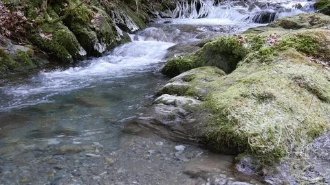 Cold mountain stream flowing over rocks in forest Video stock 70280225