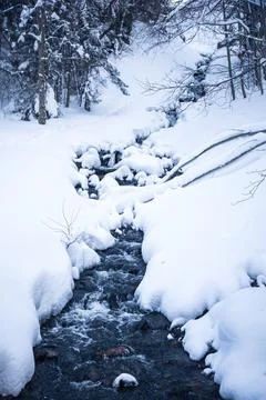 Cold Mountain Stream Flowing Through Snow-Covered Winter Forest Foto stock