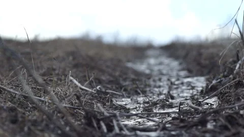 Cold mountain stream from melted water. clean drinking water Stock Footage 91524849