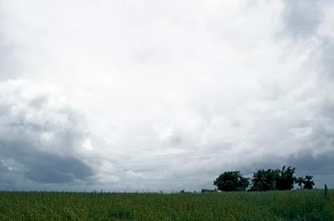 Cold Nature before to start the storm Stock Photos