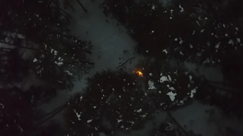 A cold night in the winter forest Stock Footage 272360607