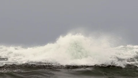 In the Cold Ocean Stockbeeldmateriaal 98282491