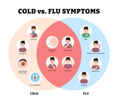 Cold or Flu infographic design with man character. Vector poster template s.. Stock Illustration