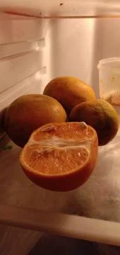 Cold oranges 库存照片