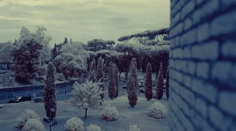Cold park in the infrared Vidéo 42797532