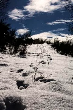Cold path to the peak Stock Photos